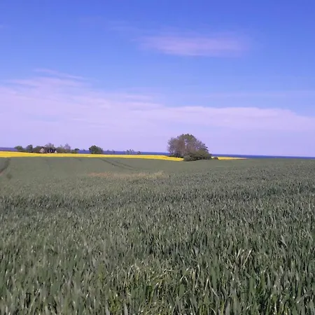 Ostseenest 아파트 Schönhagen